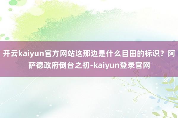 开云kaiyun官方网站这那边是什么目田的标识？阿萨德政府倒台之初-kaiyun登录官网