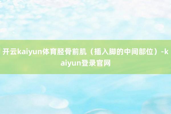 开云kaiyun体育胫骨前肌（插入脚的中间部位）-kaiyun登录官网