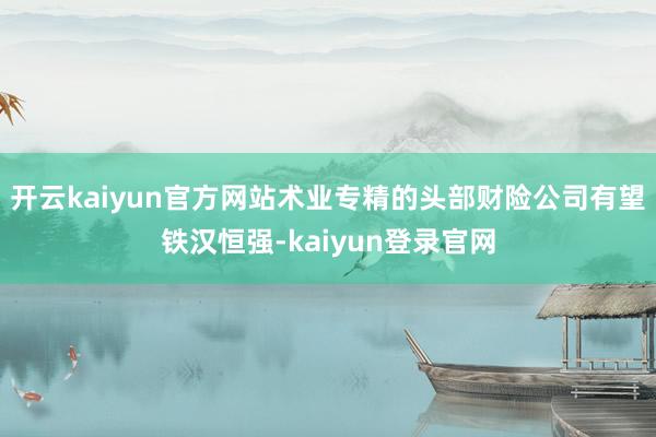 开云kaiyun官方网站术业专精的头部财险公司有望铁汉恒强-kaiyun登录官网