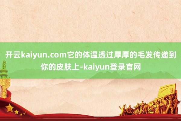 开云kaiyun.com它的体温透过厚厚的毛发传递到你的皮肤上-kaiyun登录官网